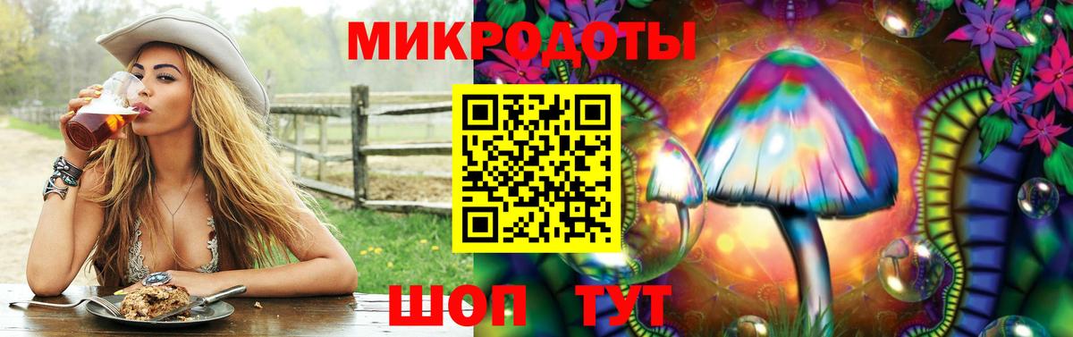 Псилоцибиновые грибы Cubensis Южно-Сахалинск